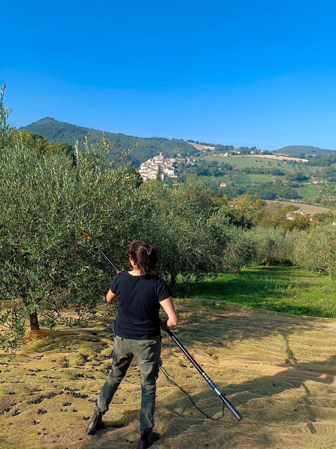 Degli Alessandri House Sassoferrato Bagian luar foto
